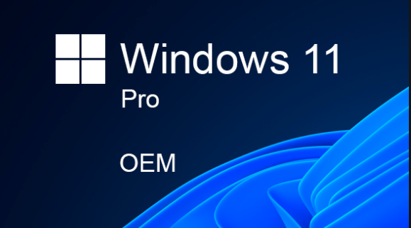 Buy Software: Microsoft Windows 11 Pro OEM NINTENDO